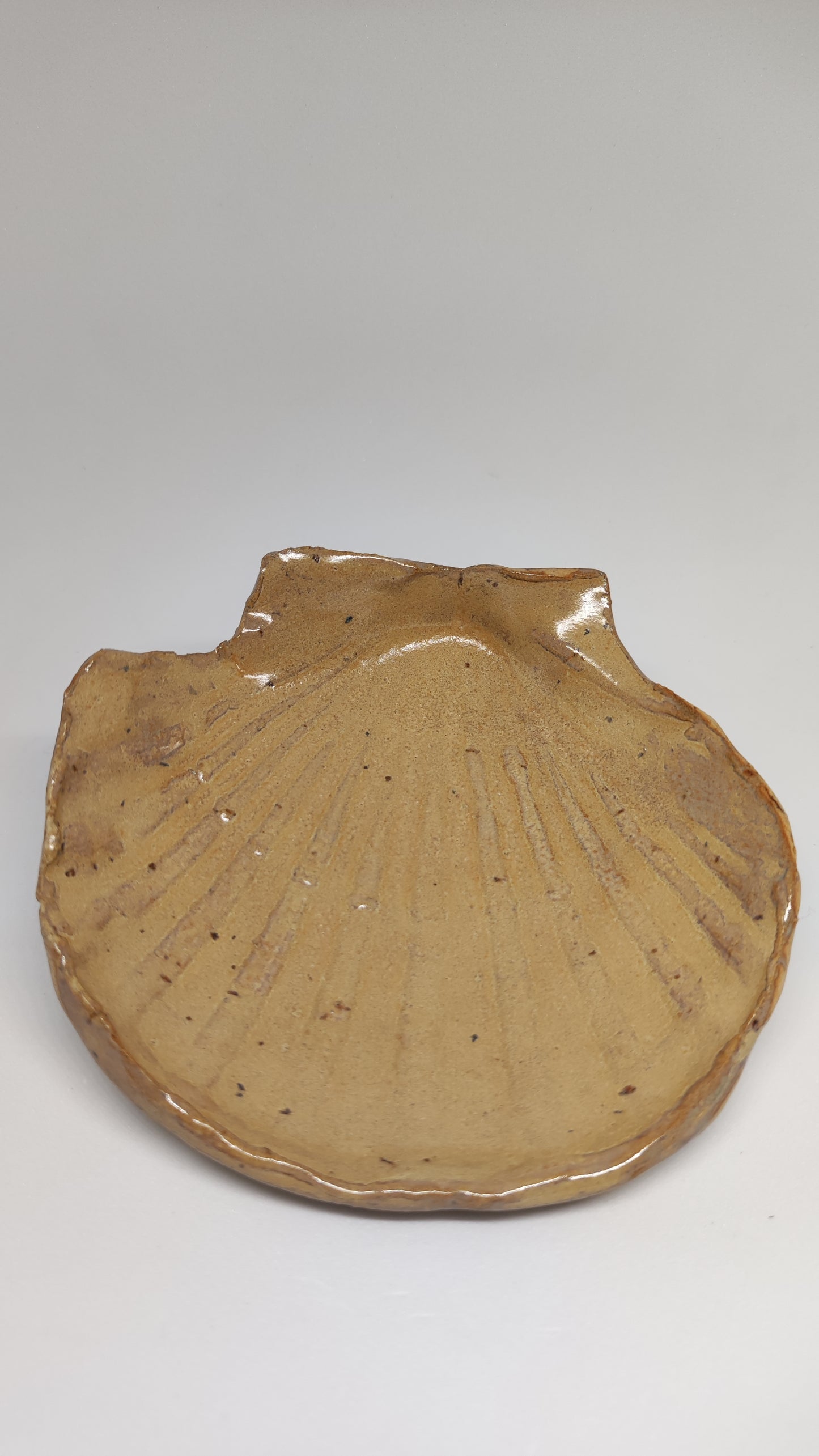 Coquille Saint-Jacques en céramique artisanale
